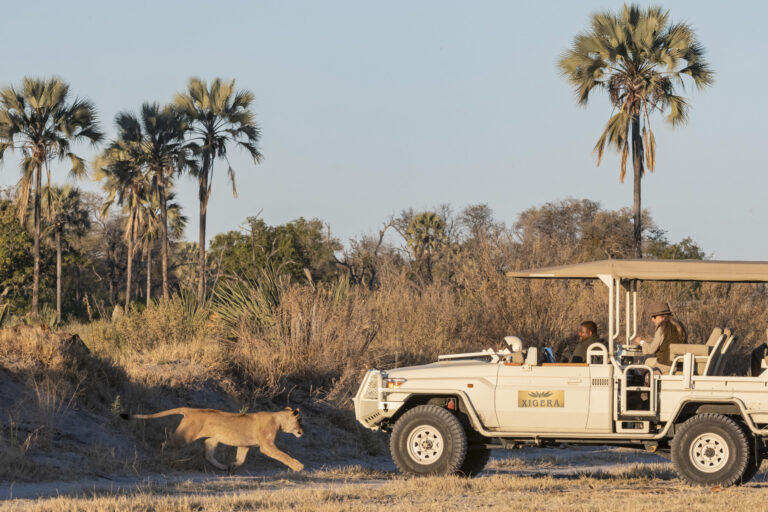Xigera Safari Lodge_10 - Go Do Africa